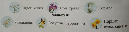 Сторінка 8 вправа 2